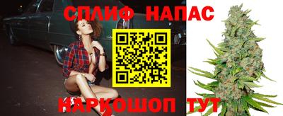 гидропоника Донской