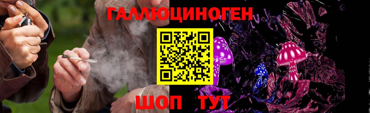 Галлюциногенные грибы Cubensis  Вход с VPN  Майкоп 